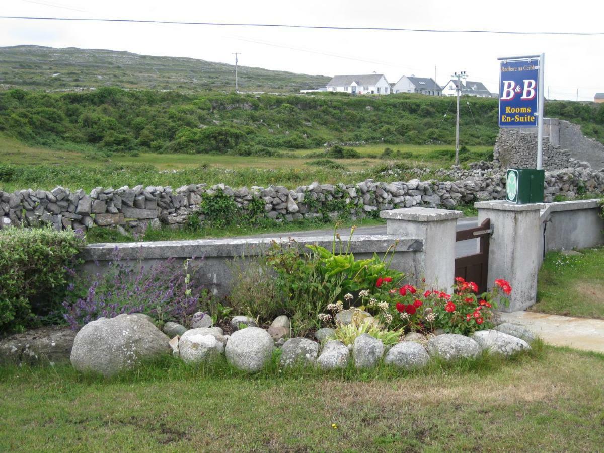 Radharc Na Ceibhe B&B H91 V0Y3 Kilronan  Εξωτερικό φωτογραφία